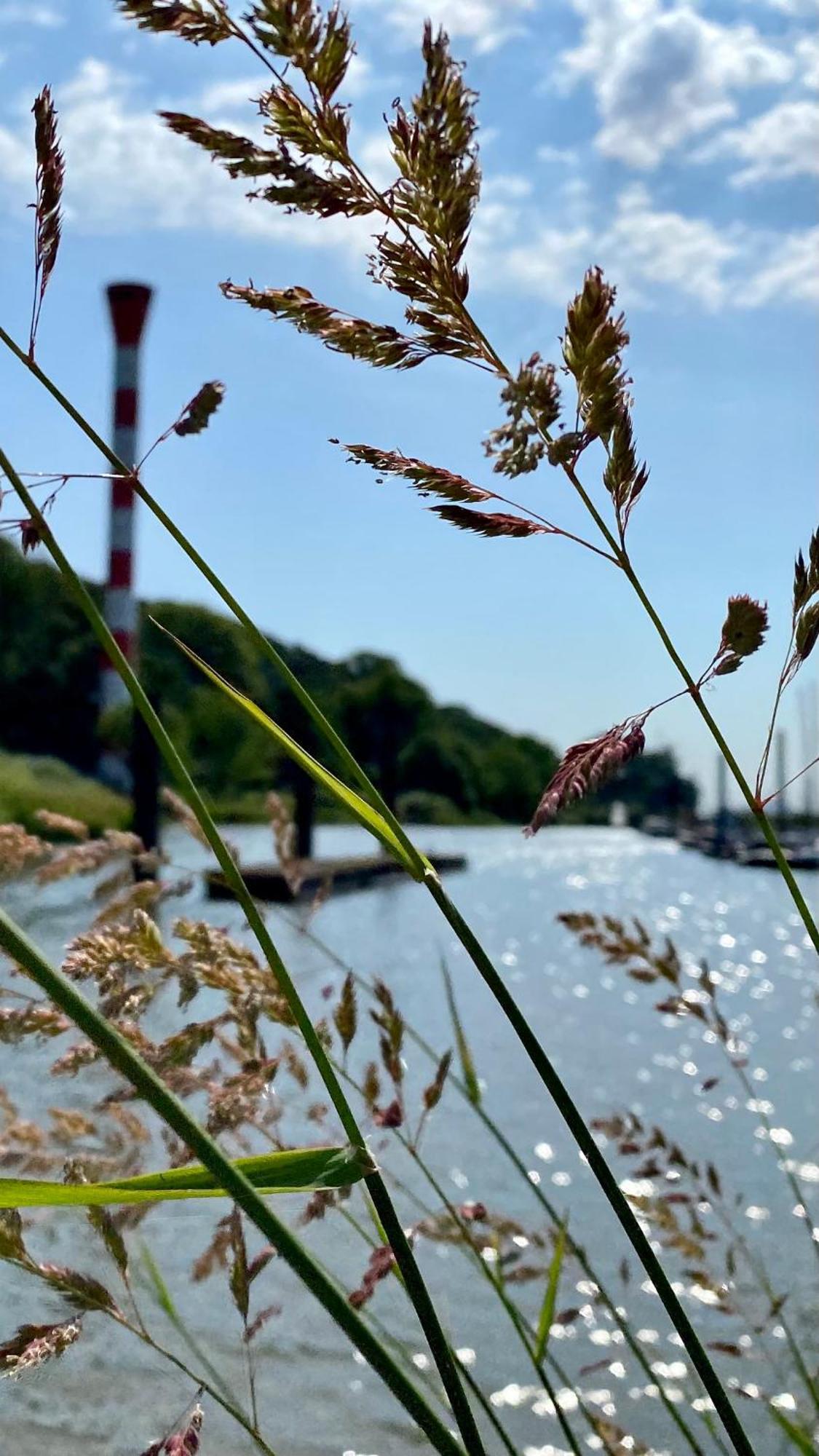 Fischerhaus Blankenese Hamburg Eksteriør bilde