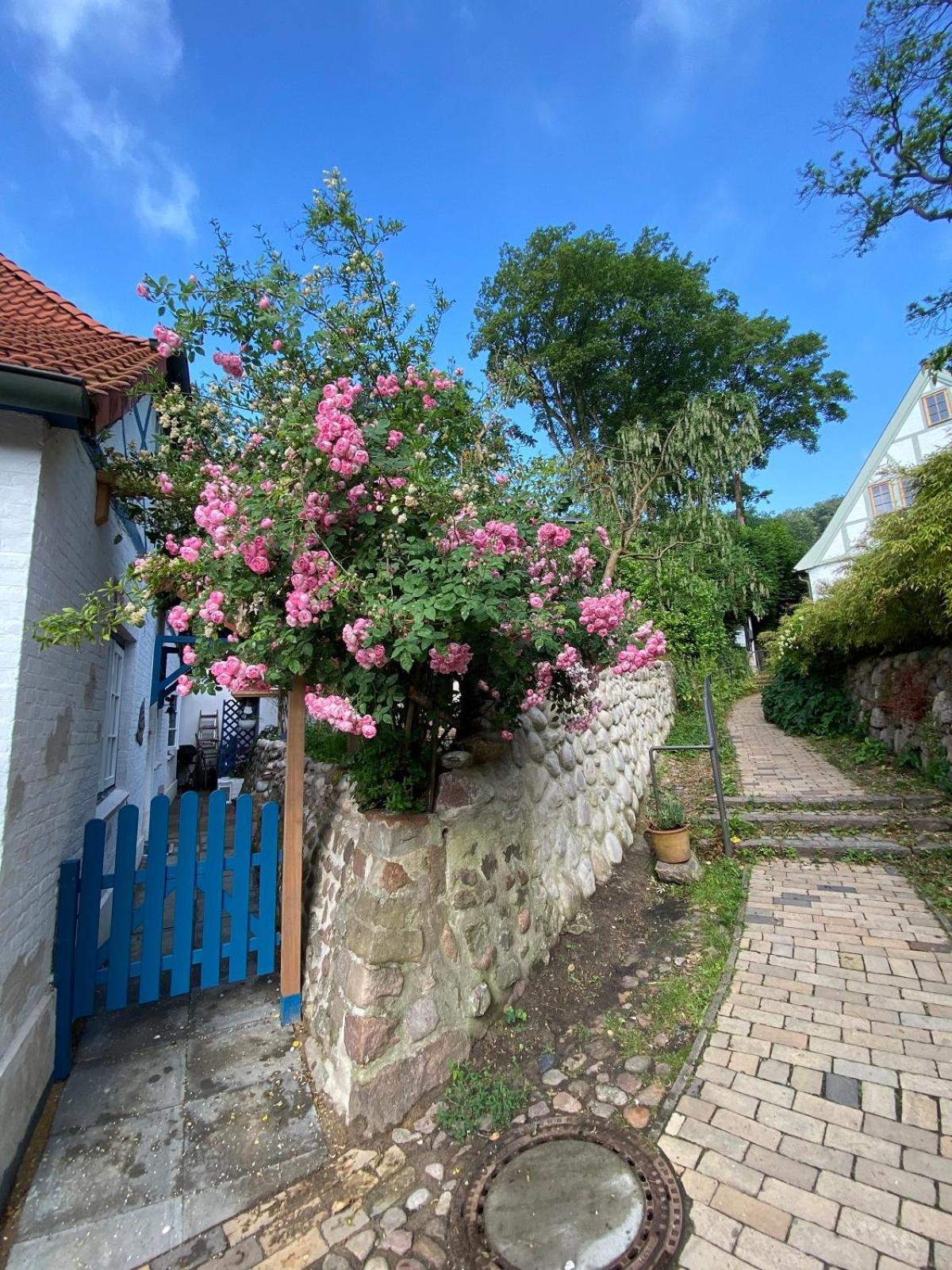 Fischerhaus Blankenese Hamburg Eksteriør bilde